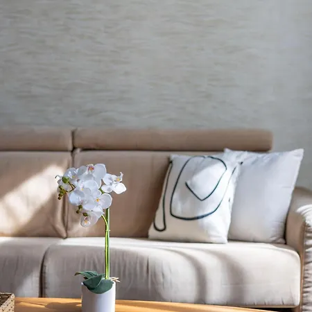 Maison Terez N' Elegant With Balcony شقة